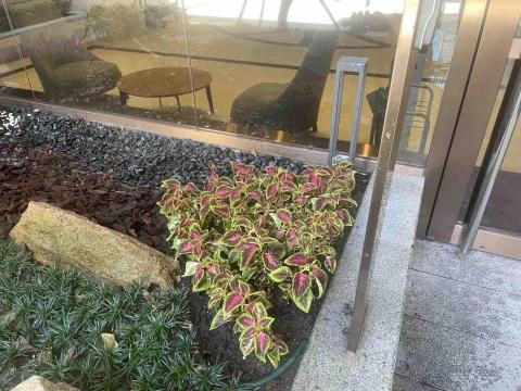 鑫源景觀園藝 - 