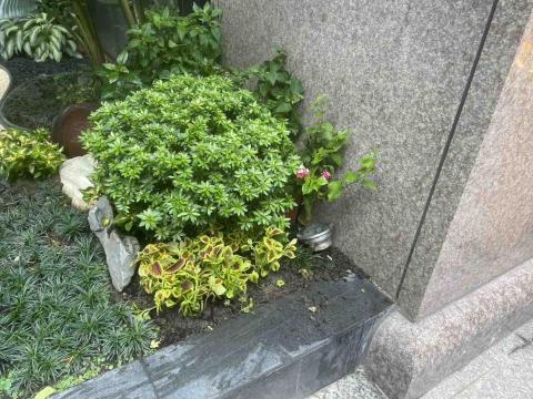 鑫源景觀園藝 - 