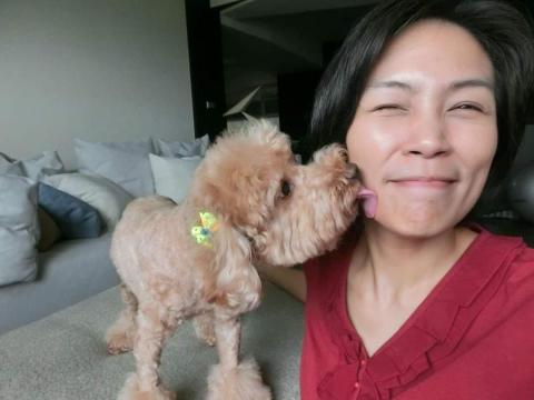 多麗麻 - 與小型犬互動良好