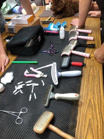 〈純〉洗澡堂（基礎美容+洗澡）〔 是不含剪造型的費用 〕 - 各種寵物美容工具