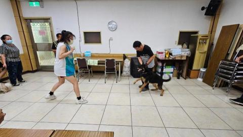 〈純〉洗澡堂（基礎美容+洗澡）〔 是不含剪造型的費用 〕 - 護衞犬課程