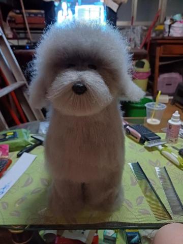 〈純〉洗澡堂（基礎美容+洗澡）〔 是不含剪造型的費用 〕 - 假狗練習