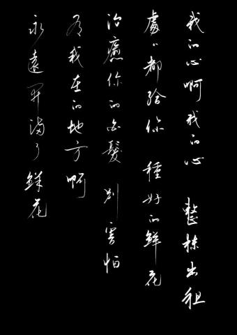 汪正堯 - 行草/鮮花