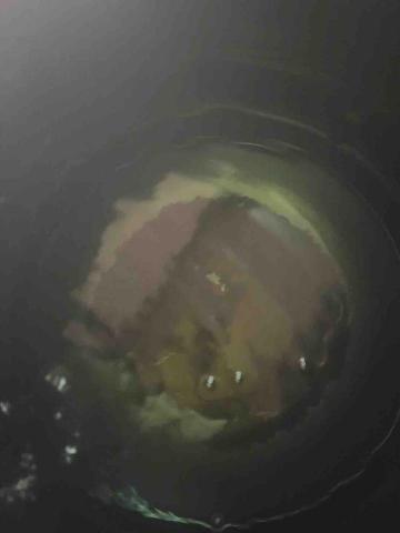 許廷瑜 - 清洗水塔前