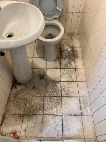 無蟎之家｜除蟎服務｜居家清潔｜裝潢細清 - 