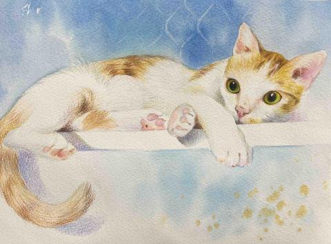 沛沛老師（陳老師） - 