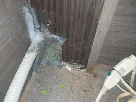 大佶環衛 - 醫美診所鼠害防治