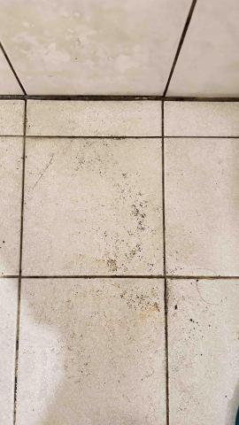 湘湘個人工作室 - 