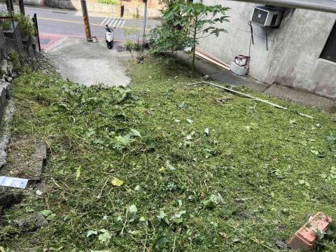 專業服務團隊 - 割草