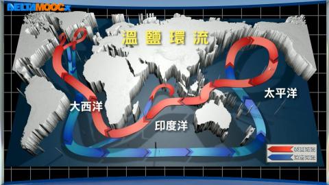 雨墨魚動畫 - 科普美術