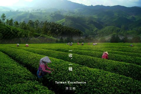 Dust Chen - 客戶提供相關照片, 擷取最好的部分影像合成