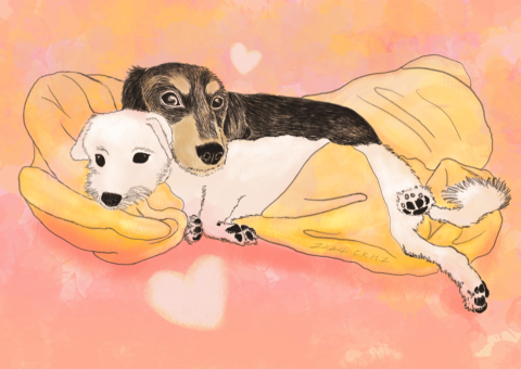 赫滋與羊國際藝術有限公司 - 客製寵物畫