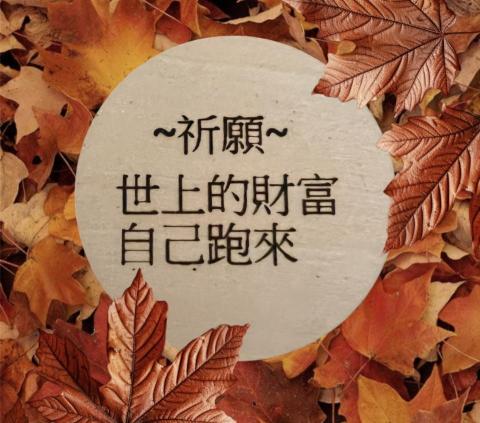 💫默星語有限公司💫 -  💫默星語有限公司💫 -