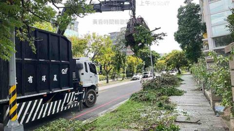 三甲園藝景觀有限公司 - 廢棄枝葉清運