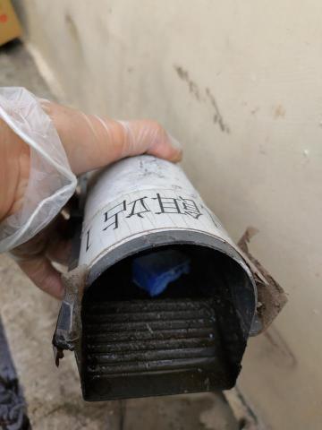 清淨環衛/除蟲 - 定期鼠害巡檢