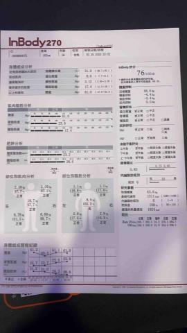 Brad 肌力與體能 減脂訓練 傷後復健 臀肌優化 拳擊訓練 - 