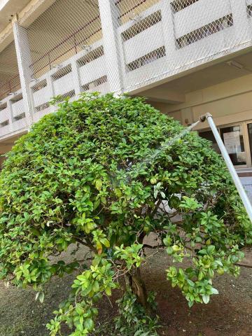 三甲園藝景觀有限公司 - 病蟲害防治