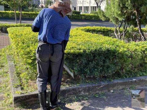 三甲園藝景觀有限公司 - 綠籬修剪