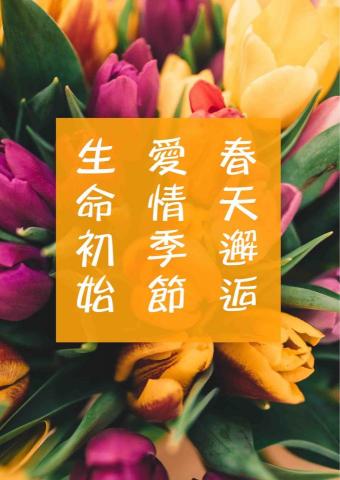 良承吉時Brunner - 