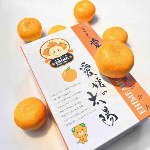 良承吉時Brunner - 