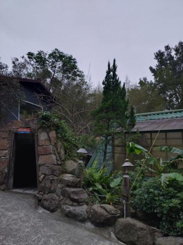 大角山羊 - 枯立木移除後