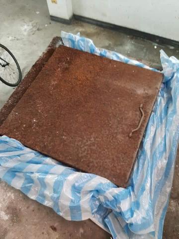 葛小新 - 水塔蓋