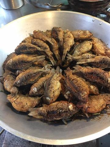 曹書偉 - 聰火靠鯽魚(製作中)