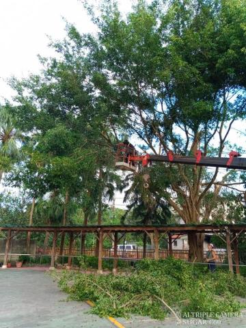 小松園藝吳明典 -  小松園藝吳明典 -