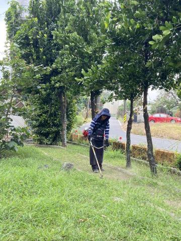 長春樹園藝企業社 - 