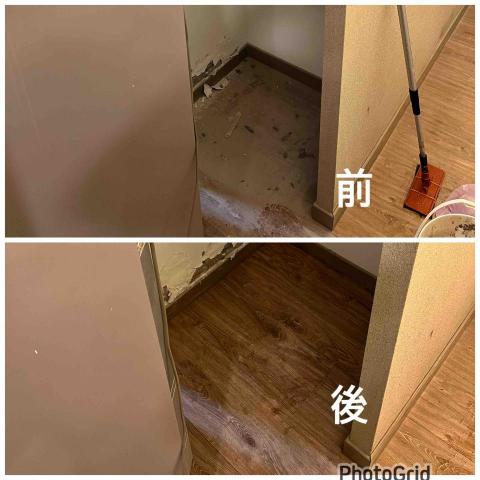 三隻浣熊清潔有限公司 - 