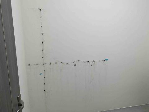 連博濬 - 大面積漏水