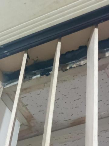 大佶環衛 - 夾縫