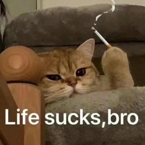 提供韓文服務的專家NAICHU HSU