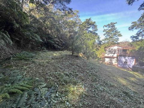 森活空間企業社 - 除草完