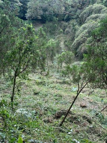 森活空間企業社 - 