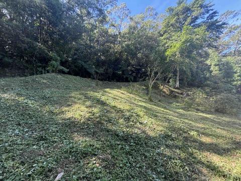 森活空間企業社 - 除草