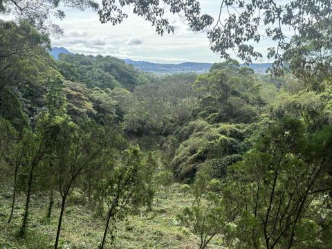 森活空間企業社 - 