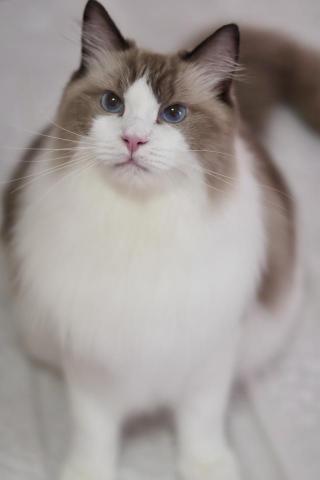 陳怡君 - 洗後美容照