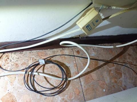 大佶環衛 - 別墅蟻害防治