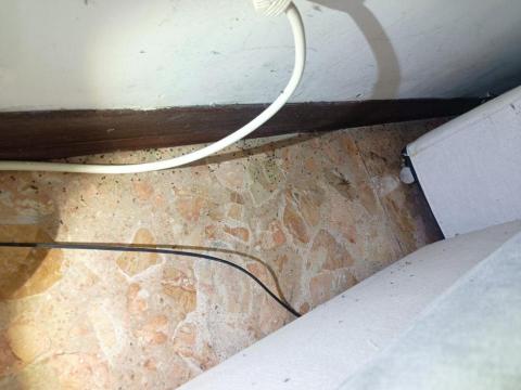 大佶環衛 - 山中別墅蟻爆量