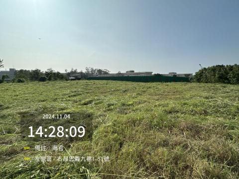 明凱工程行 - 割草後2