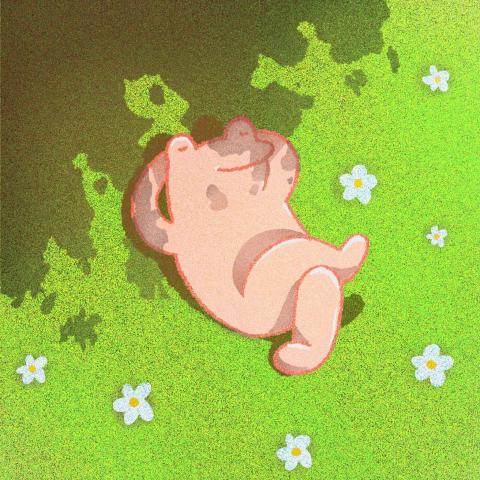 提供澎湖衝浪服務的專家陳昱安