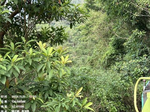 明凱工程行 - 上山整地前