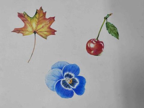 林威佑 - 插畫風