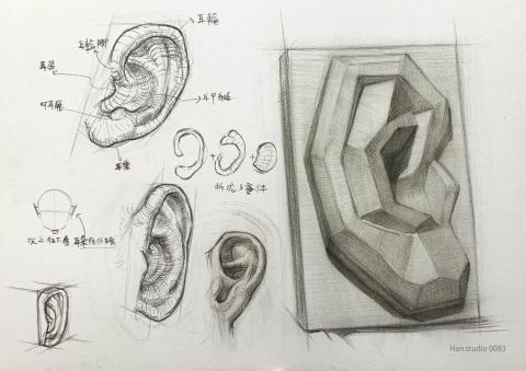 Han studio  邱柏翰 - 耳朵結構認識，有條理的認識形狀能幫助我們在實際畫圖時，梳理想表現的重點喔
