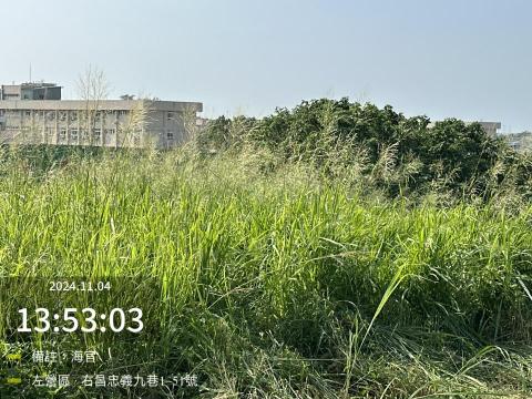 明凱工程行 - 割草前