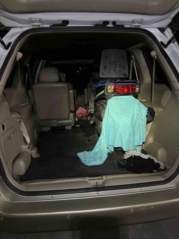 薛丞祐 - 三陽金發財150