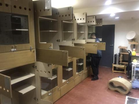 雙北國際搬運 - 公司/企業/工廠運輸