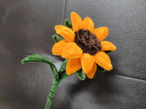 寶石花gemblossom - 向日葵