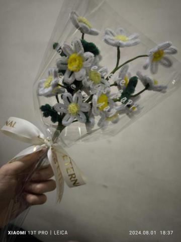 寶石花gemblossom - 雛菊